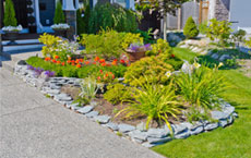 Nicely decorated flower bed